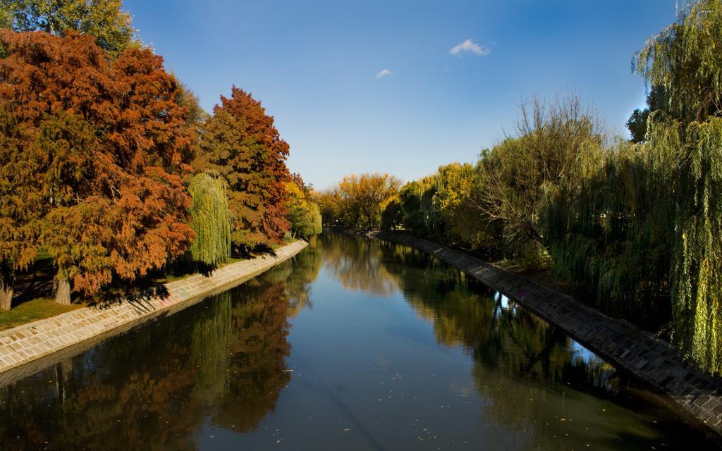 Try The Central Feeling Тімішоара Екстер'єр фото